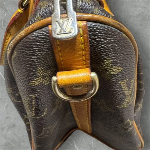 Louis Vuitton Tasche Speedy 25